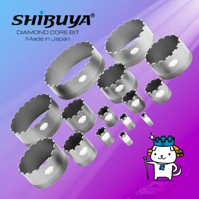 Diamond Bit
