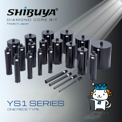 YS1 Series